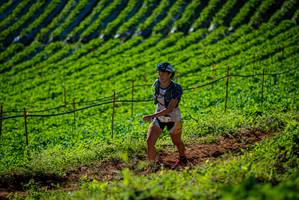 BIB: 
                            <button type="button" onclick="openModal(19161167)" class="btn btn-primary btn-sm float-right btn-popup" data-toggle="modal" data-target=".modal-high-quality">
                        <i class="fas fa-shopping-cart"></i> Add to Cart
                    </button>
                                            <button type="button" onclick="isThisMe(19161167, true)" class="btn btn-success btn-sm float-right btn-popup btn-isme hidden" data-toggle="tooltip" data-placement="bottom" title="นี่คือรูปของคุณใช่ไหม คลิกที่นี่เพื่อเอาเข้าอัลบั้ม">
                        <i class="fas fa-plus"></i> Add to album
                    </button>
                    <button type="button" onclick="isThisMe(19161167, false)" class="btn btn-warning btn-sm float-right btn-popup btn-isnotme hidden">
                        <i class="fas fa-ban"></i> Remove from album
                    </button>